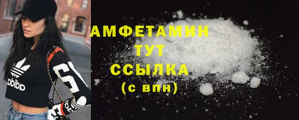 прущие грибы Покров