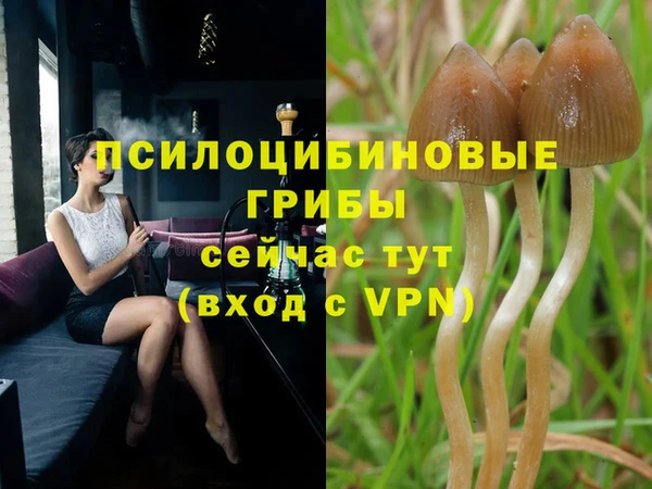 MESCALINE Пестово