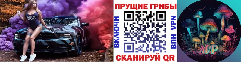 Купить где  Нижняя Салда  Галлюциногенные грибы Cubensis 